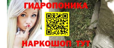 крисы Аргун