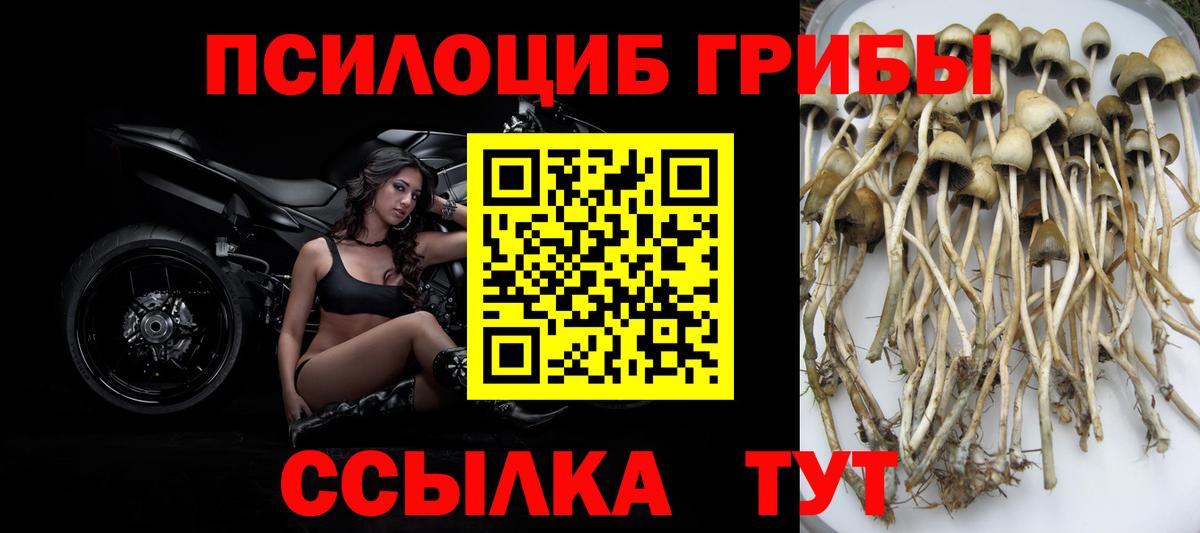Галлюциногенные грибы GOLDEN TEACHER Ачхой-Мартан