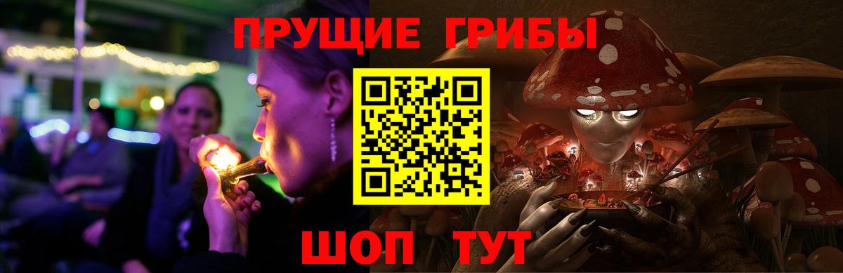 Галлюциногенные грибы мицелий  Вход с VPN  Ачхой-Мартан 